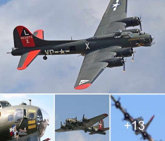 Tragic Air Show Accident Claims Six Lives as Two WWII-Era Planes Collide in Dallas