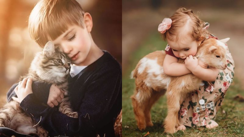 Children’s Friendship with Pets Captured Through Lens