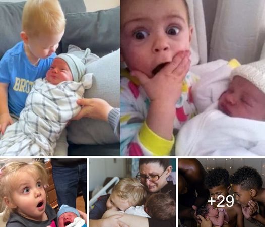 A Delightful Encounter Of A 3-Year-Old Girl Welcomes Her Newborn Sister