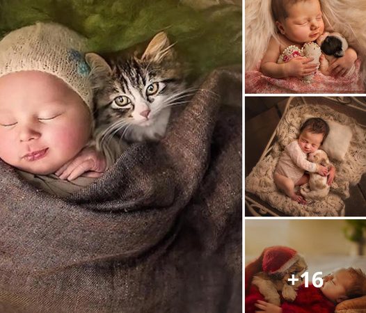 Newborns Enchant Online Community by Embracing Tiny Creatures in Their Cozy Embrace