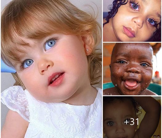 Admiring the ‘world’s most beautiful eyes’ of babies makes everyone fall in love and wish 