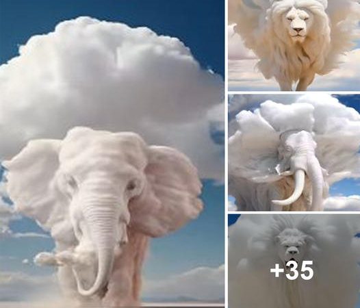 Sculpting Gigantic Creatures in the Sky: The Captivating Artistry of Thundercloud Formations