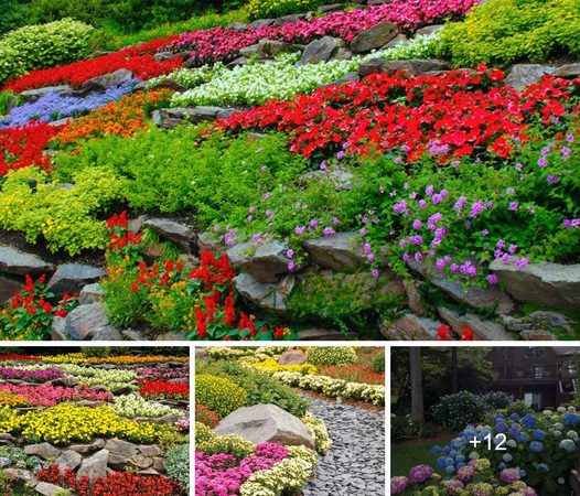 Transforming Your Landscape with Mesmerizing Rock Gardens: 15 Creative Ideas