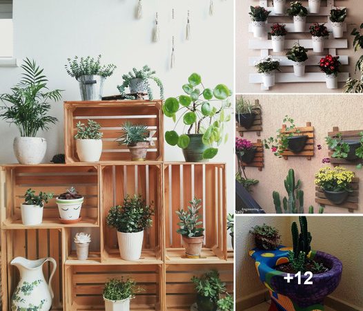 Elevate Your Garden Style: 15 Creative Ideas for Stunning Potted Plants