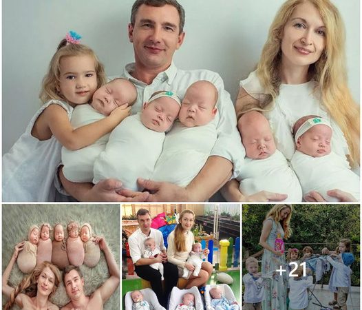 An Unbelievable Surprise: Mother Expecting Twins Welcomes Quintuplets