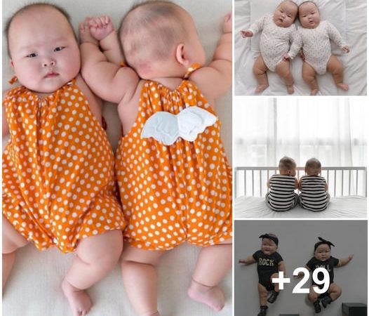 The Inspiring Journey of an Adorable Twin Duo That Leaves Many in Awe