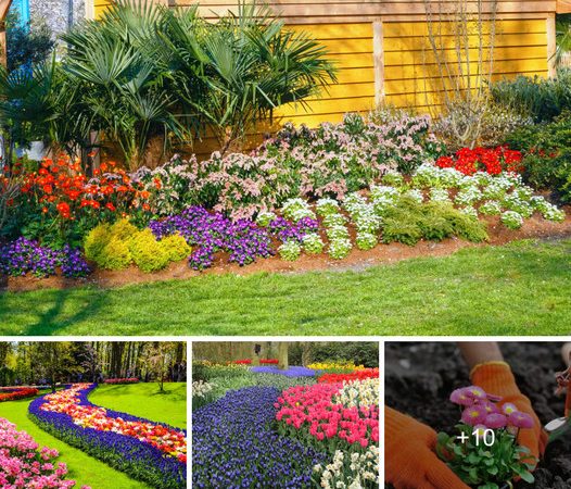 Unlock the Secrets: 10 Tips for Cultivating Stunning Flowerbeds