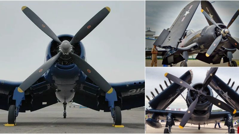 Explore the Splendor of the Vought F4U Corsair: Embracing the Iconic Bent-Winged Beauty in Its Full Glory!