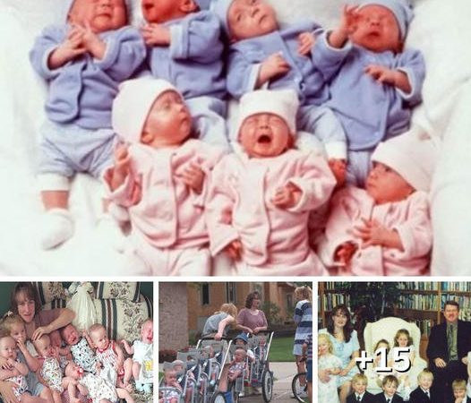 The Miracle of the McCoy Septuplets: From Birth to Adulthood