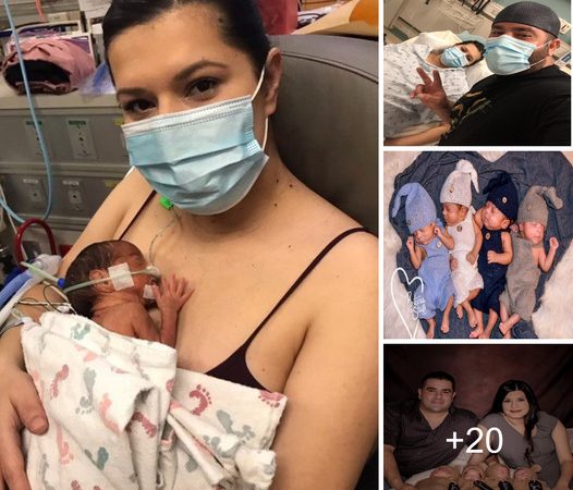 Pregnant Mother Joyfully Embraces the Arrival of Her ‘Quad Squad’ – Four Babies Born Just Eight Minutes Apart, a Divine Blessing