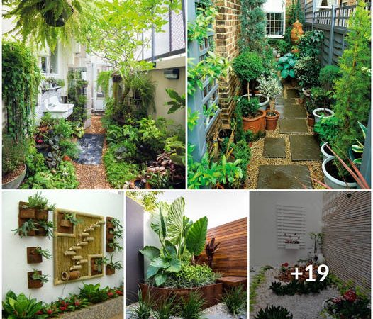 38 Unique Small Garden Inspirations: Dreamy and Creative Concepts