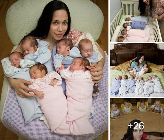 A Mother’s Remarkable Journey: Raising Eight Sets of Twins Over 12 Years