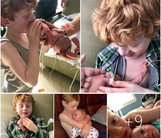 A Heartwarming Tale of Brotherhood: The Precious Bond Between a 6-Year-Old and His Premature Baby Brother