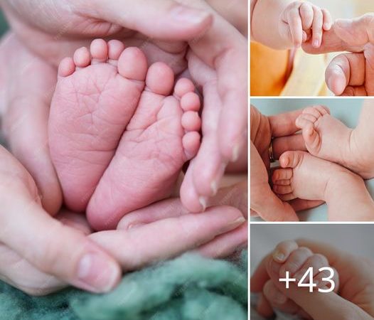 A Newborn’s First Grasp: The Heartwarming Connection with Mother