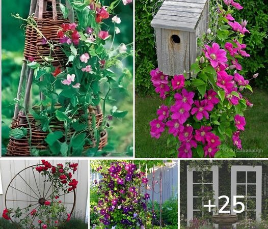 Creative DIY Trellis Designs to Elevate Your Garden