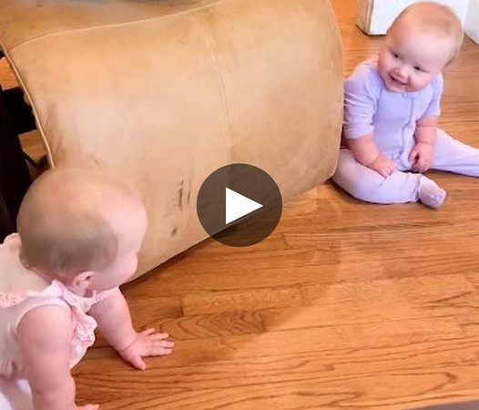 Double the Delight: A Compilation of Hilarious and Adorable Twin Babies Videos