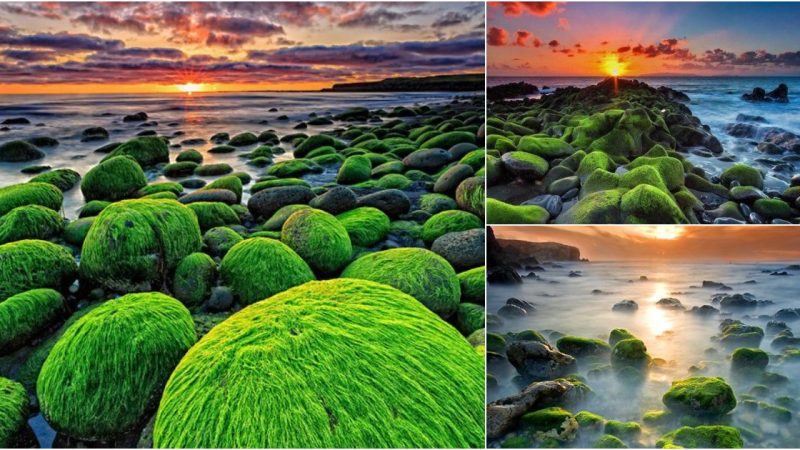 Exploring Hvaleyri Beach in Hafnarfjörður, Iceland: A Visual Journey by Raimondo Restelli