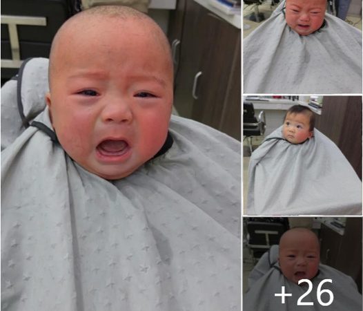 Baby’s First Haircut: A Journey from Adorable to Tearful