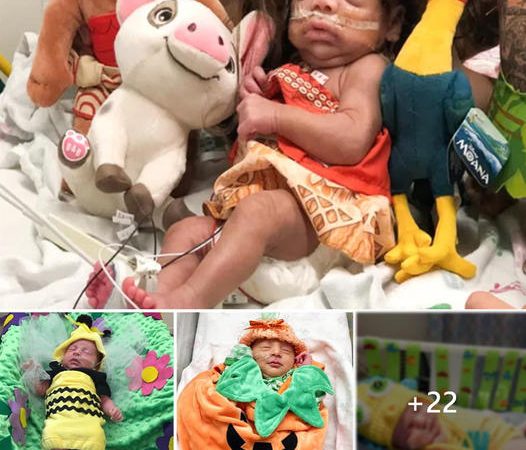 Tiny Heroes: NICU Babies Shine Bright on Halloween