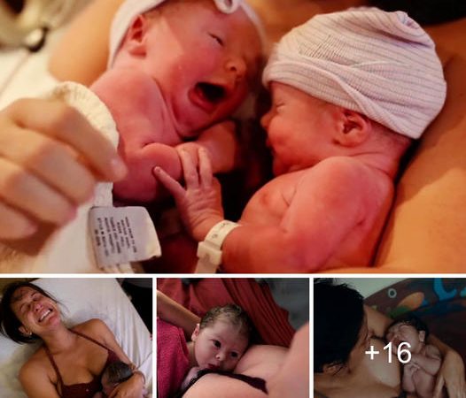 Touching Moments: Mothers and Newborns Capturing the Essence of Love