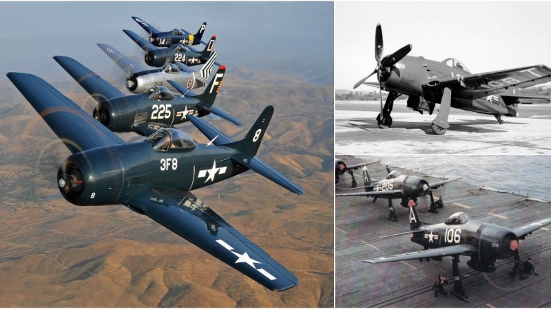 The Resurgence of the Grumman Bearcat: Reclaiming Its Title as America’s Beloved Fighter