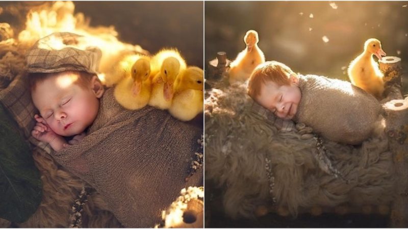 Welcoming Life’s Delights: Captivating Portraits of Newborns Snuggling with Adorable Companions