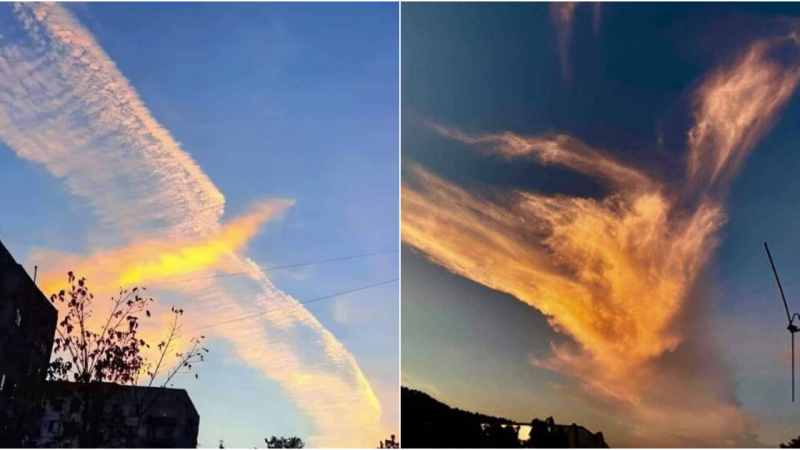 Clouds Formed Like a Phoenix: A Stunning Display of Nature’s Artistry