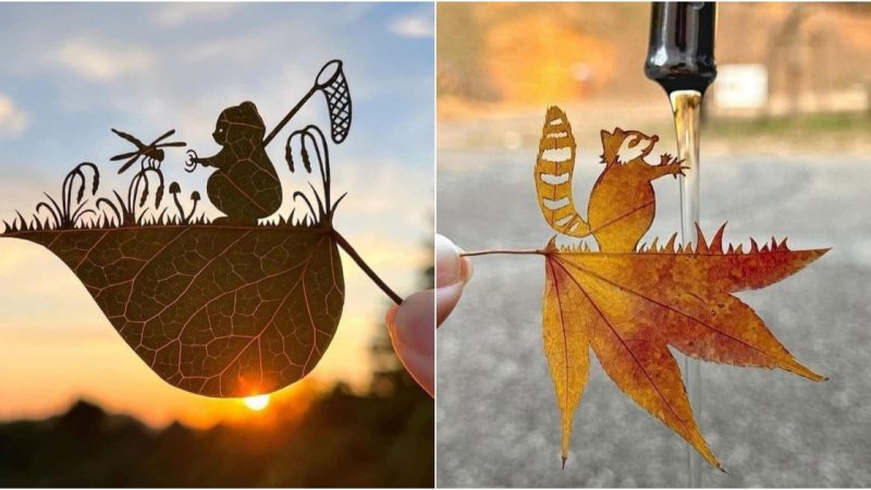 Lito Leaf: A Leaf-Cutting Artist Turning ADHD into Art